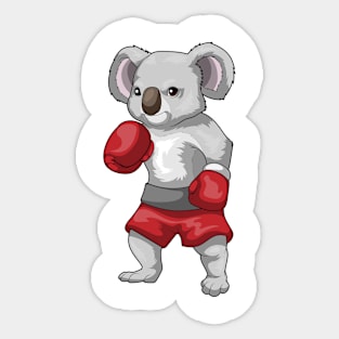 Koala Boxer Boxing gloves Boxing Sticker